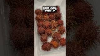 Eating Hairy Lychee Goes Wrong shortsviral [upl. by Aneed]