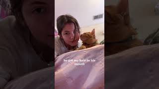 Kiss your cat music cat funnyvideo funny funnycats animals kiss [upl. by Edaj356]