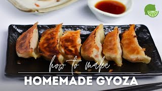 Crispy Pork Yaki Gyoza Recipe Japanese Pan Fried Dumplings [upl. by Nawad]