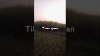 Mashaallh Tilawat Quran [upl. by Atnas]