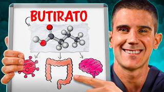 BUTIRATO impactantes CAMBIOS en tu INTESTINO y CEREBRO en POCOS DÍAS [upl. by Hepsibah90]