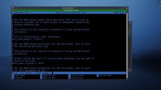 Install and setup Virt Manager KVM and QEMU ArchManjaro [upl. by Feriga]