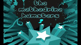 The Methedrine Hamsters live stream 2 [upl. by Timmy]