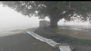 किरतपुर जमालपुर बांध टूट जाने से बाढ़ biharbhadflid trandingreels2024 biharnews flood bihar [upl. by Erimahs]