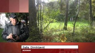 Sasa Dimitrijevic dopisnik iz Norveske za TV NTV fono izvestaj iz Oslapripremila M Vidojkovic 07 10 2011 [upl. by Coyle]