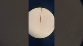 How To Observe Brownian Motion Under the Microscope  LaBLiFe [upl. by Samuella306]