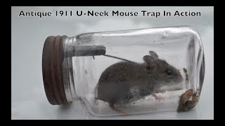 Rare Antique 1911 UNeek Jar Mouse Trap In Action Mouse Trap Monday [upl. by Bohun]