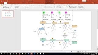 transaminase transaminasa biochemistry bioquímica metabolism [upl. by Rubens]