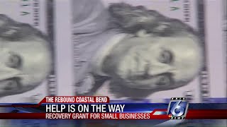 REBOUND recovery grant for small businesses [upl. by Fern]