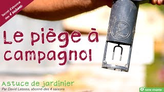 Le piège à campagnol  Astuce de jardinier [upl. by Euqitsym]