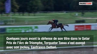 Torquator Tasso et Lanfranco Dettori à 4 jours de l’Arc [upl. by Emmalynne146]