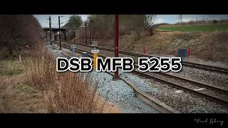 Train DSB MFB 5255 [upl. by Naicul]