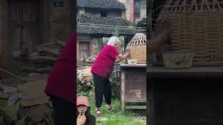 PRANK NENEK AYAM KECIL JADI SLIME TELUR NYA MENETAS ⁉️😱shorts funny dubbing [upl. by Nelsen]