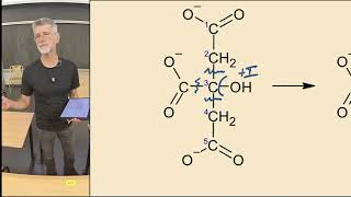 Annale PASS 2023  TD REDOX 2023 [upl. by Refinej]