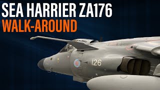 Sea Harrier ZA176  WalkAround [upl. by Dailey]