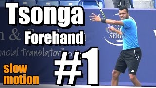 Jo Wilfried Tsonga in Super Slow Motion  Forehand 1  Western amp Southern Open 2014 [upl. by Maybelle]