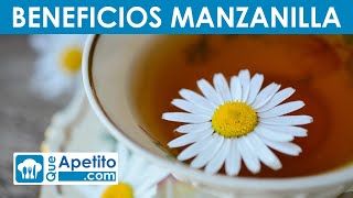 8 Propiedades y Beneficios de la Manzanilla  QueApetito [upl. by Yung]