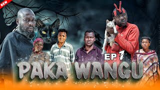 PAKA WANGU episode 1 [upl. by Anirt130]