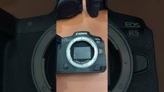 Canon R6 Mark II VS Canon R5 cuongtonnytv cuongtonny camera vuonggiangcamera [upl. by Kitchen]