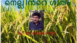 NELLINTE GEETHAM  VSAMBASIVAN [upl. by Vedette323]