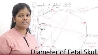 Diameter of Fetal Skull Lecture in Hindi  Types of Diameter  Diameter Measurement of Fetal skull [upl. by Adley]