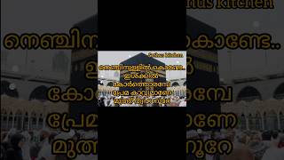 Nenjinullil kondenabidina songnabidina song lyrics 2024madh song [upl. by Kriss203]