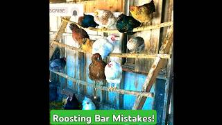 DONT Make This Epic Coop Blunder  No 2 of 6 Roosting Bars thebestchickencoop [upl. by Ayikan566]