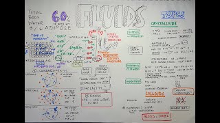 Fluid Management I  Body Fluid Compartments Osmolality v Tonicity amp Fluid Types [upl. by Mose]