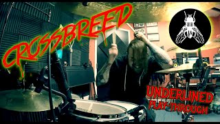 ANGEL BARTOLOTTA Crossbreed quotUnderlinedquot PlayThrough [upl. by Holden]