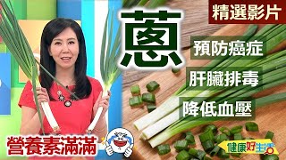 【健康好生活 超精彩回顧】蔥蔥家族來報到 一起健康蔥蔥蔥  韓式雙蔥煎餅 健康版爆香蔥油乾拌麵山珍海味豬炒珠蔥 雙蔥玉子燒佐味噌芥末 [upl. by Dimmick]