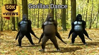 Otilia bilionera Sambalpuri remix song  Gorillas Dance Dubbing Video 😂 vickyeditx trendingvideo [upl. by Anirrehs589]