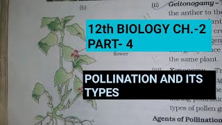 Class 12 biology chapter2 Part4 pollination and its typesStudy with FARRU [upl. by Cattier]