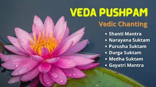 Vedic Chanting Narayana Suktam Purusha Suktam Medha Suktam and Gayatri Mantra [upl. by Oinafipe]