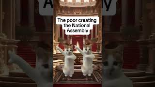 The French Revolution Simplified By Cats [upl. by Gemoets324]