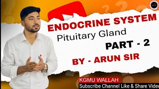 ENDOCRINE SYSTEM PART 2 BY ARUN SIR [upl. by Aynod]