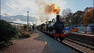 Autumn Steam on the Bluebell Railway  27102024 [upl. by Blondy]