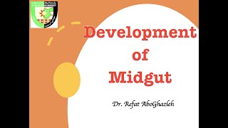 Development of Midgut [upl. by Uba326]