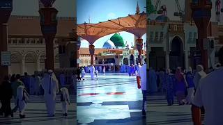 Arob Dase Nobir Gojol 🕋🕌 islamicsong gajal2022 islamicvideo বাংলাগজল banglanaat shortsvir [upl. by Lustick328]