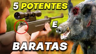 ⚠️Top 6 Melhores Carabinas de Pressão 2024 até 1000  Carabinas 55 GÁS RAM baratas e potentes [upl. by Goldie]