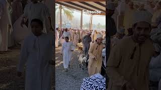 friday Morning View Of Oman Muscat Nizwa Goat Market [upl. by Hafler]