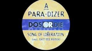 ParaDizer  Song Of Liberation Original Mix [upl. by Aleinad]