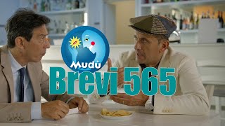 Mudù  Le Brevissime 565 [upl. by Ynnel248]