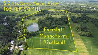 FARMLOT WMANGOFARM AND RICELAND105 PER SQM OR 85MILLION82HAS AERIAL VIEW [upl. by Nave]