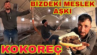 BİZDEKİ MESLEK AŞKI  MANGALDA KOKOREÇ EFSANE [upl. by Kcirdneked632]