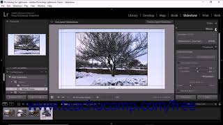 Lightroom Classic CC Tutorial Setting Slideshow Playback Options Adobe Training [upl. by Ilak]