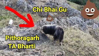 Pithoragarh TA Ki Bharti Me Kya Hora hai 💩 pithoragarhpithoragarhvlogpithoragarhvlogs [upl. by Iralav49]