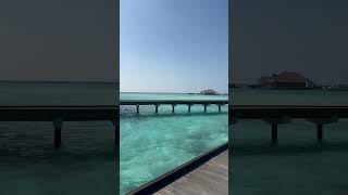 Overwater Villa in Maldives maldives travel travelvlog island islandlife [upl. by Segal]