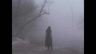 Metal Music Compilation AtmosphericMelancholic Black Metal Postblack Metal part1 [upl. by Hoi]