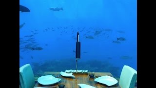 Ithaa Undersea Restaurant at Conrad Maldives Rangali Island [upl. by Mersey713]