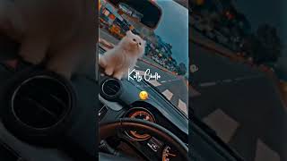 என் அழகு குட்டி செல்லம்🐾🥹una paartha song lyricswhatsappstatus love shorts ytshortsytviral [upl. by Cedar]